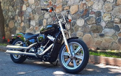 Prince De La Route – Le Harley-Davidson Softail Standard