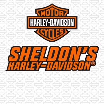 Sheldon's Harley-Davidson